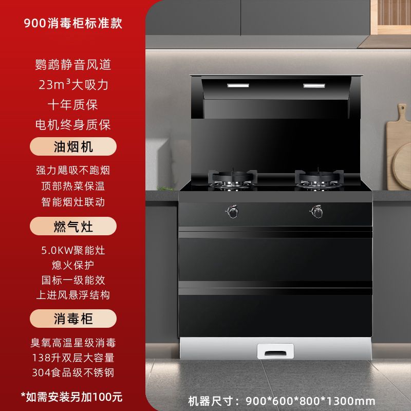 900 소독 캐비닛 표준 모델(설치 +100) - 파이프 천연가스 + 좌우 연기 배출 [ 공동 보증]