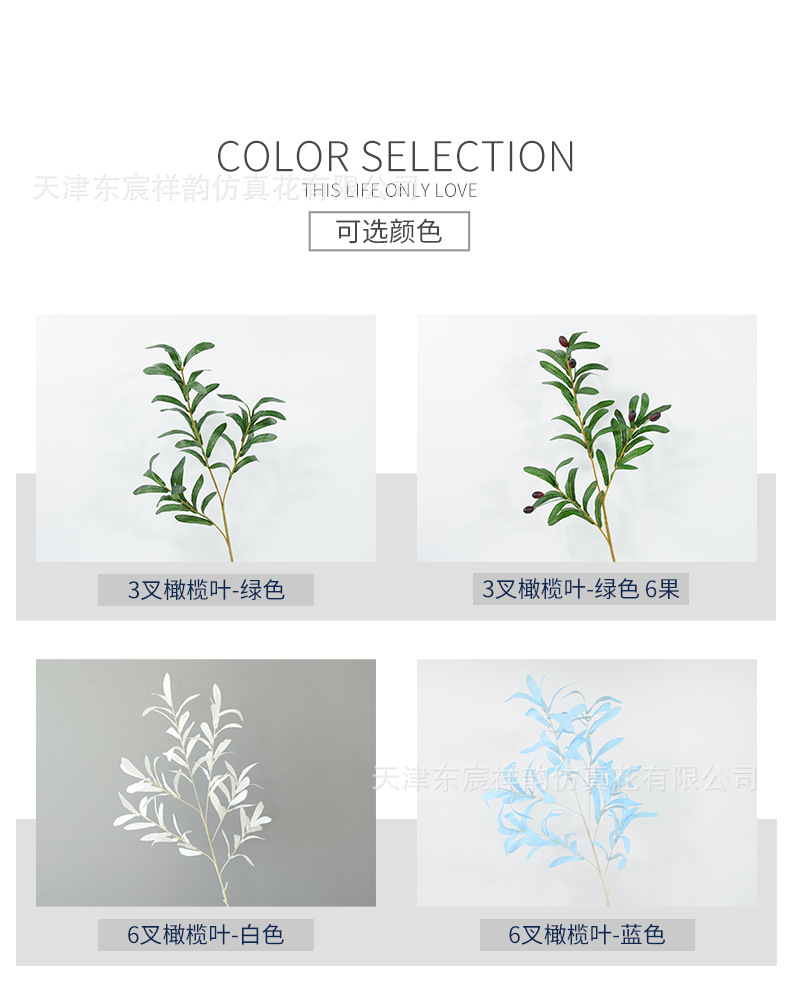 详情_04.jpg