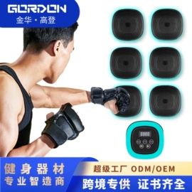 其他健身器材;其他搏击用品;健腹器