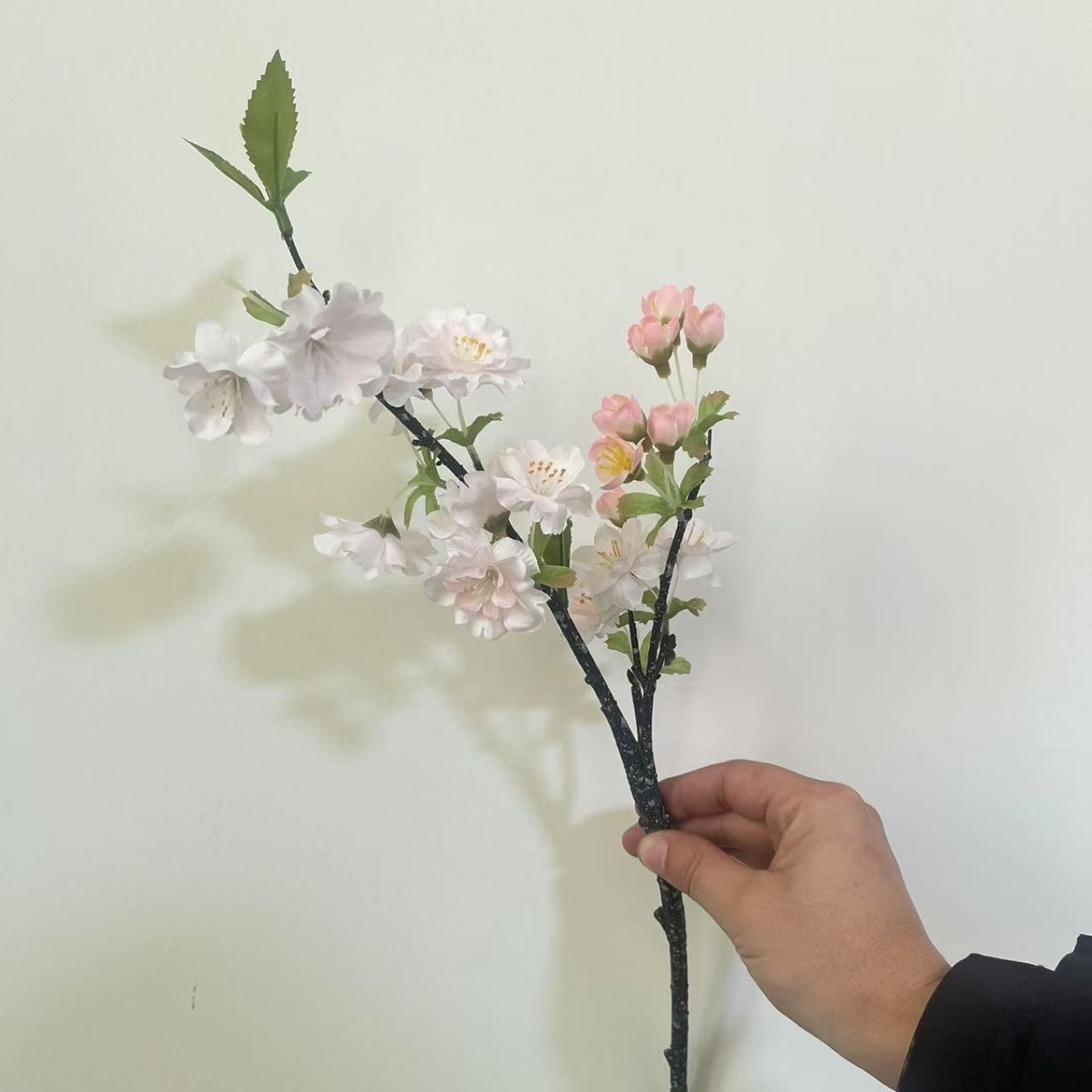 연한 핑크 (꽃송이 8개 미만)