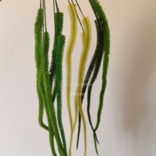 ����Gֲ��β����Y�Ƶ겼�û������T�S�����lins�߼��б��汬��