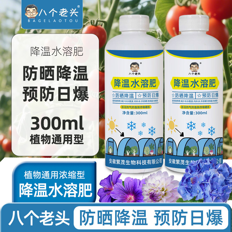 温室の温度を下げる水溶肥温室の日除け剤温室の野菜のアーチの棚は雨を防ぐことができます。|undefined