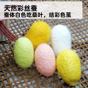 �Q�������w��z��ɫ�����Q�W���B�Q���b�s���Q���g3�g�Q����̫��