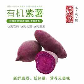 有机紫薯有机认证无农残 红薯地瓜香甜软糯蒸烤美味辅食