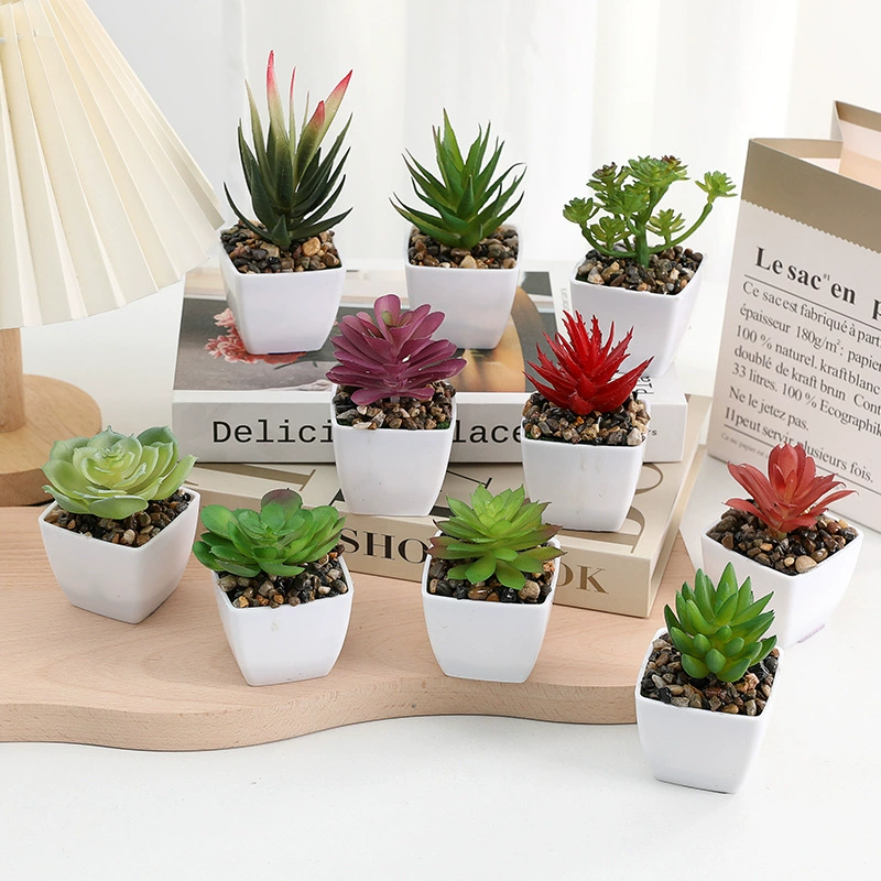 Amazon four-party succulent potted desktop bonsai ornaments green plants foreign trade European and American gardening cross-border hot sale