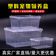 爬虫饲养盒爬宠箱龟缸蚕宝宝蜘蛛角蛙守宫盒蜥蜴蜗牛爬行宠物盒子