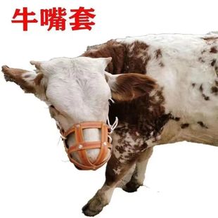 ţ�R���׷�ҧ���������i����ĸ�i�������i�����i��\ţ��\���^��