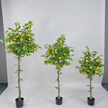 ����Gֲ�����҃ȼٙ��ʘ�ins�͏d��ؔ[���b��W�ٻ�ֲ��