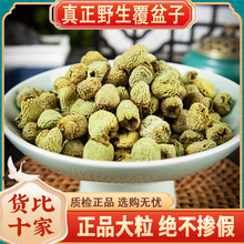 ҰƷșĸݲɹӸPӹ؛250g