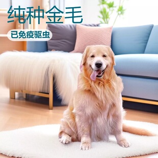 ���ƽ�ëȮ��Ȯ���w�����o�lȮѲ��Ȯ����Ȯ����ȮС����ͥ��HȮ