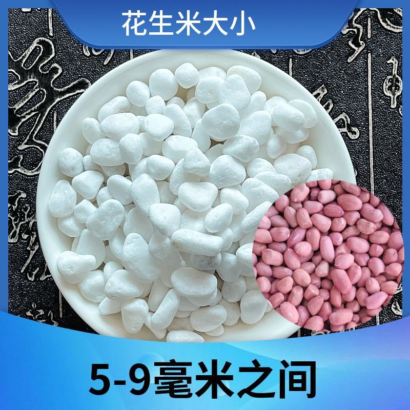 瑞景石水栽培花、小さな白い石、多肉植物舗装石、小石、雨花石、水槽造園鉢植え工場|undefined