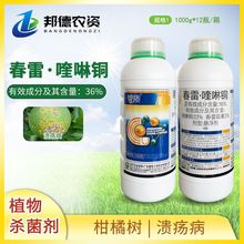 ��� ���|36%��������~������٘�kui����ֲ���rș������1000ml