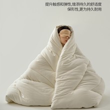 A类全棉提花十孔被春秋被冬被子被芯纯棉空调被春秋四季被8斤保暖