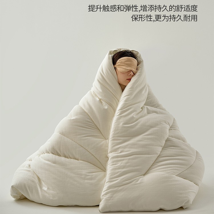 A类全棉提花十孔被春秋被冬被子被芯纯棉空调被春秋四季被8斤保暖