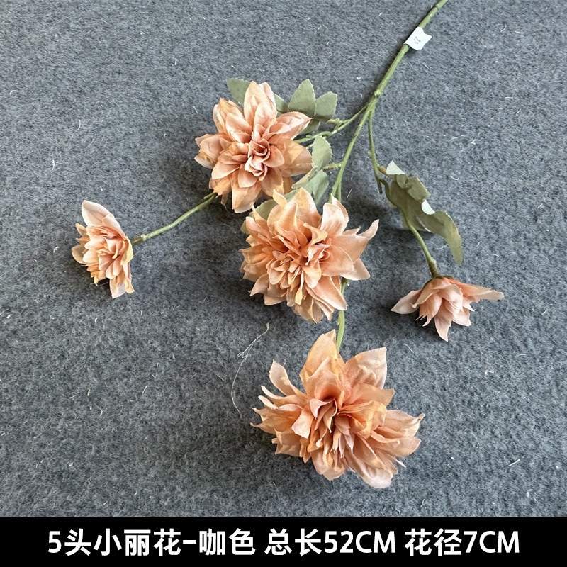 5 작은 꽃