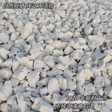 rֹt۰ծa۵عϷɽۛ۹ͽ