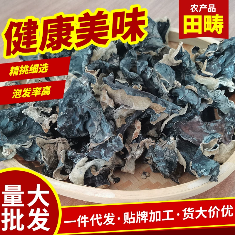 Тянь Чоу гриб галантереи общественное питание горячий горшок ингредиенты хрустящий гриб ферма специальность белая спина черный гриб грибок завод