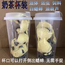 ����ʳ���̲豭��������֩��������~���B�ͺ��J�������