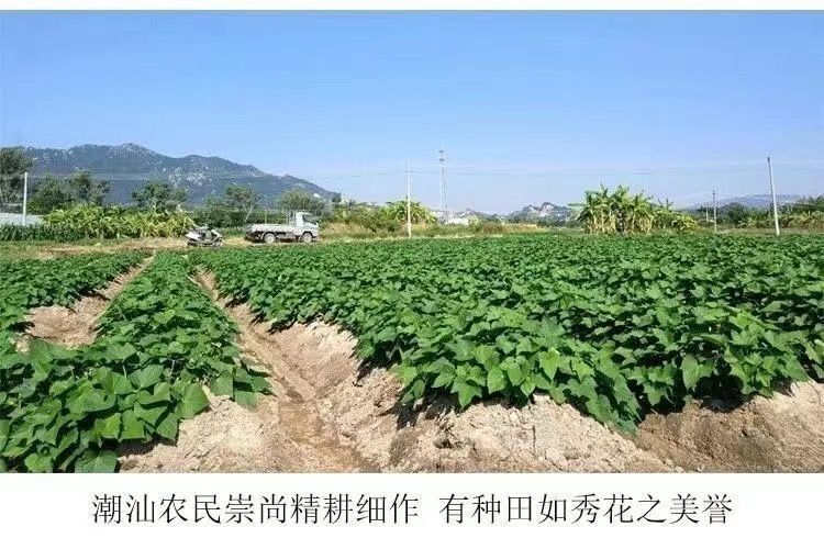 7a4cb546-dd46-4f0c-946e-e949472d24d8.jpe