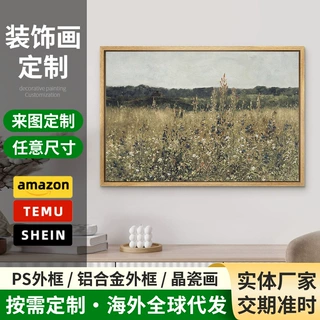 亚马逊抽象风景卧室挂画 PS外框餐厅壁画 帆布水彩艺术客厅装饰画
