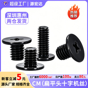 �懴�ƽ�^�ݽzʮ�ִ��^��ƽ�^��˨�ǘ����M1.6M2M2.5M3M4M5M6