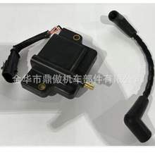 512060953 512060644 Ignition Coil with CDI for Ski-Doo