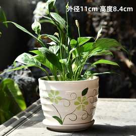 多肉花盆陶瓷带托盘特价大口径大号发财树盆创意家用多肉的花盆