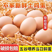 �r��ɢ�B���u�����u�����r��Ȼ���x��ι�B�I�B���ӵ����u��