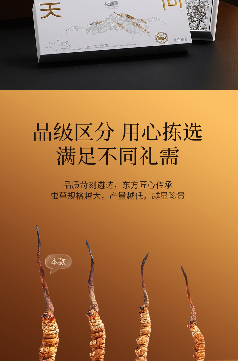 Premium Cordyceps Gift Box Dong Chong Xia Cao 5g Wild-Harvested Qinghai Origin Whole Stems key features
