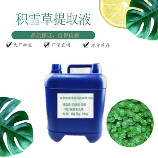 Centella Asiatica Extract 99% White Colorless Liquid Centella Asiatica Extract Centella Asiatica Liquid