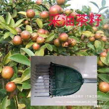 ժͲɰؘ]ͲьЧʸ՘ròժ߾W