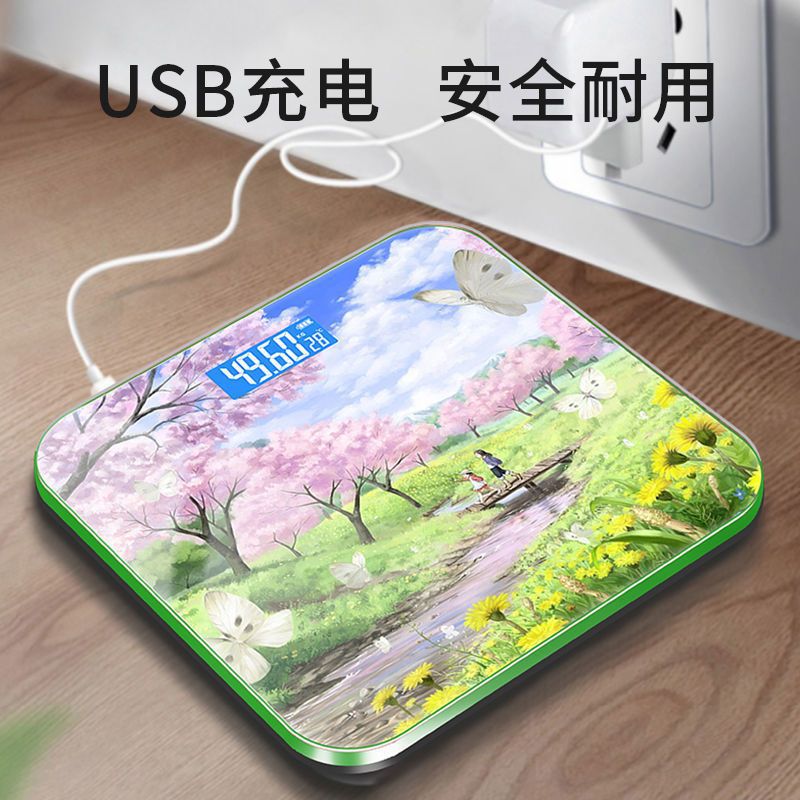 Subescala transfronteriza que pesa la báscula del cuerpo humano báscula de grasa corporal inteligente recargable báscula de salud báscula de peso de un lote