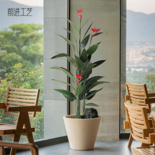 羳QB˽˽پGֲ٘҃ȿ͏db쾰ֲ