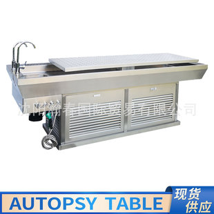 Supply 304 Stainless Steel Autopsy Table Laboratory Morgue Body Thawing Storage Small Animal Corpse Dissection Table