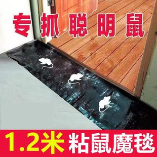��������ħ̺���lճ��������Nճ��ħ̺����\����������A�\����