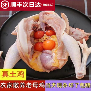 ���u���B�r��ɢ�B2-3����ĸ�u��S���]�Zʳ�u���uɢ�B��ĸ�u���r