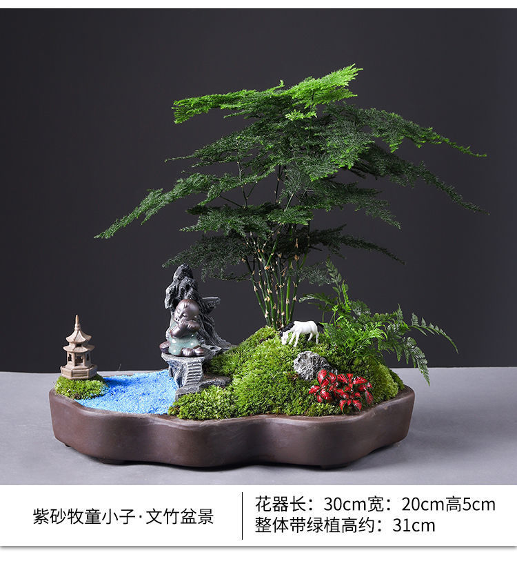 详情图