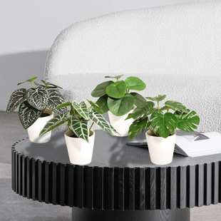 �����ȸ���� �~�X�� ���~ ������ֲ��[�� ͥԺ�͏d�͏d�Ҿ��b�