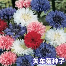 NӴȫ̫ꖻNӲ˹շNҰMտͥ@ˇN