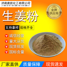 厂家批发生姜粉 云南小黄姜粉 可食用散装生姜粉低温烘焙干姜粉