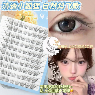 б�w�nϵ��͸С����ٽ�ë��Ȼ���ϵ���L��β�Ԏ��۾���͸�̿�