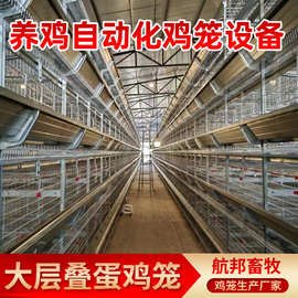 大层叠蛋鸡笼全自动养殖笼具 养鸡场专用鸡笼全自动捡蛋清粪设备