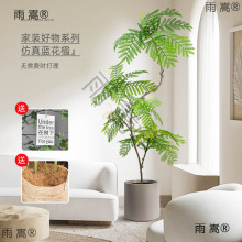 ͏dؔ[ҕ߅bƷ҃ȼֲ{麾Gֲ