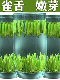 ��ǰȸ����~2026�²��F��ë�����̶��ѿ���r��ѿ������500g���]