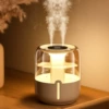 Mist humidifier