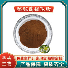 骆驼蓬提取物 水溶骆驼蓬粉 苦苦菜/臭草 厂家1KG起批包邮