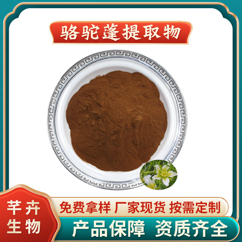 骆驼蓬提取物 水溶骆驼蓬粉 苦苦菜/臭草 厂家1KG起批包邮