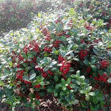 ����M�ßo���۹��������\�����ԾG���h��ͥԺ�����՚⻨��G��