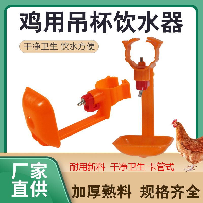 New Chicken Drinking Water Raise Chicken Card -style Together Cup…