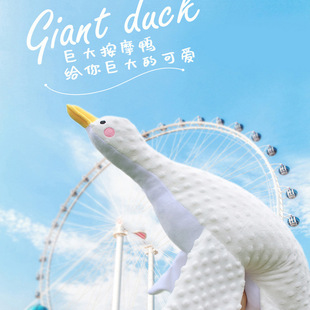 ����Zſ˯��ë�q��������Z�������ޱ�����������ż�Y�����l�YƷ